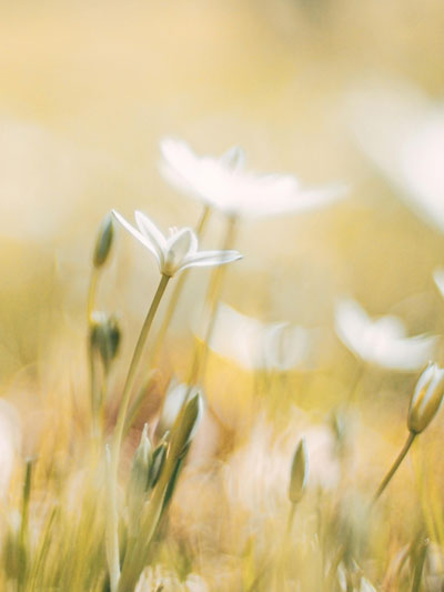 grote afbeelding van Praktijk Utrecht